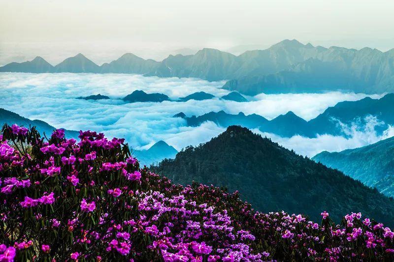 东吴“大将”诸葛瑾屡战屡败,却为何一直身居高位,秘密在哪里?
